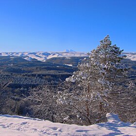 ������ ����, ������ ����.