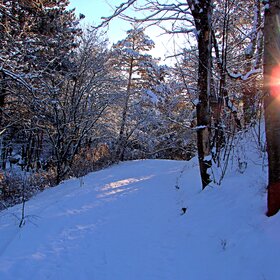 �������� ����.