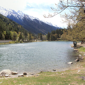 ����� ������� � �������.