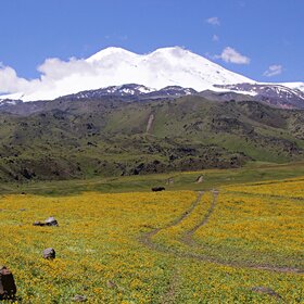 ������� �� ������ ���������.